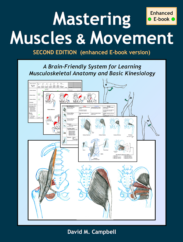 enhanced e-book cover