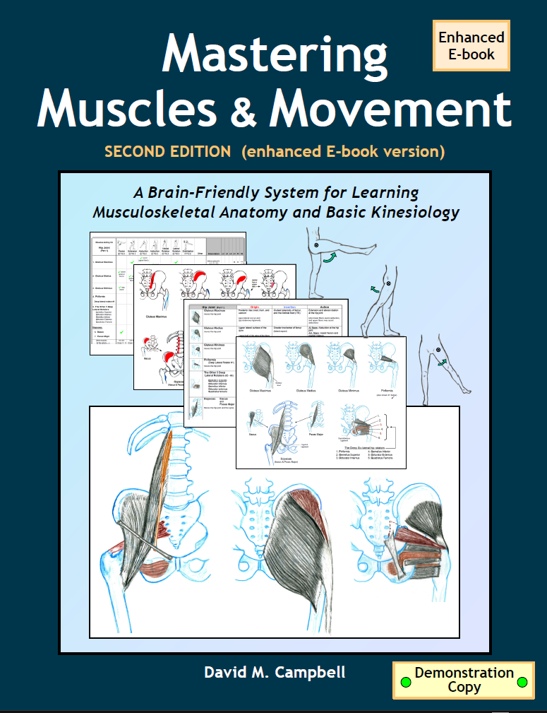 MMM Demonstration - Enhanced E-book