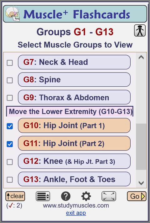 MusclePlus Flashcards: Select Muscle Group(s) - Method 2
