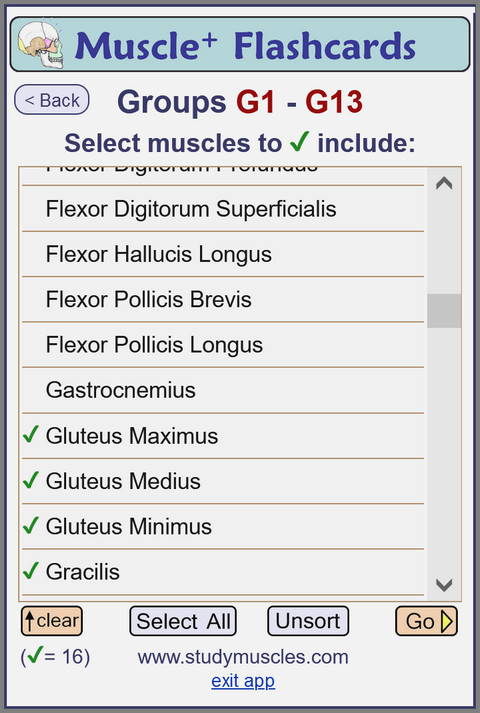 MusclePlus Flashcards: Select Individual Muscles