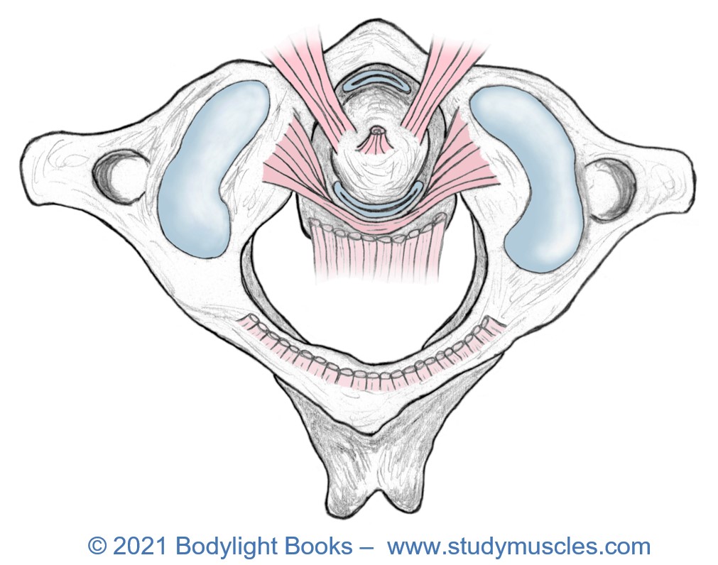Upper Cervical Complex