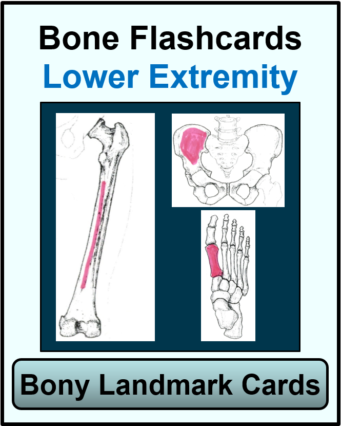 bone cards for lower extremity